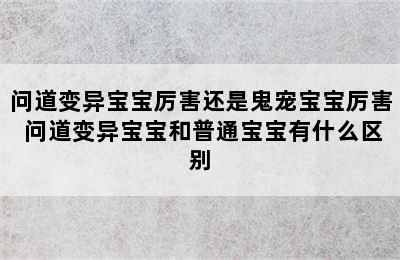 问道变异宝宝厉害还是鬼宠宝宝厉害 问道变异宝宝和普通宝宝有什么区别